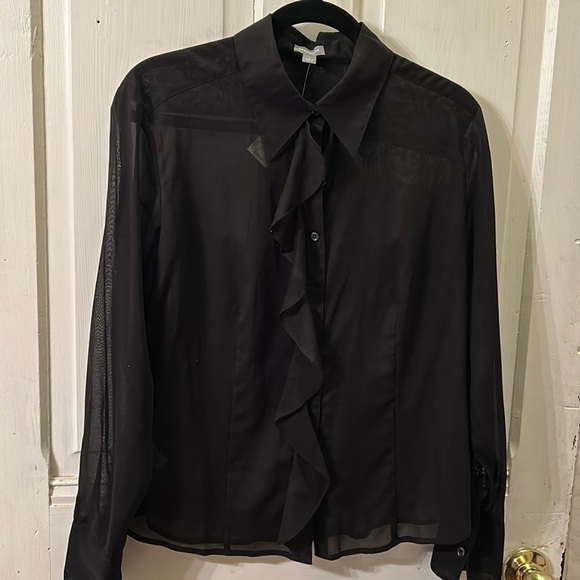 NWT Ann Taylor Sheer Long Sleeved Blouse with Ruffle Detail, size L - Picture 1 of 7